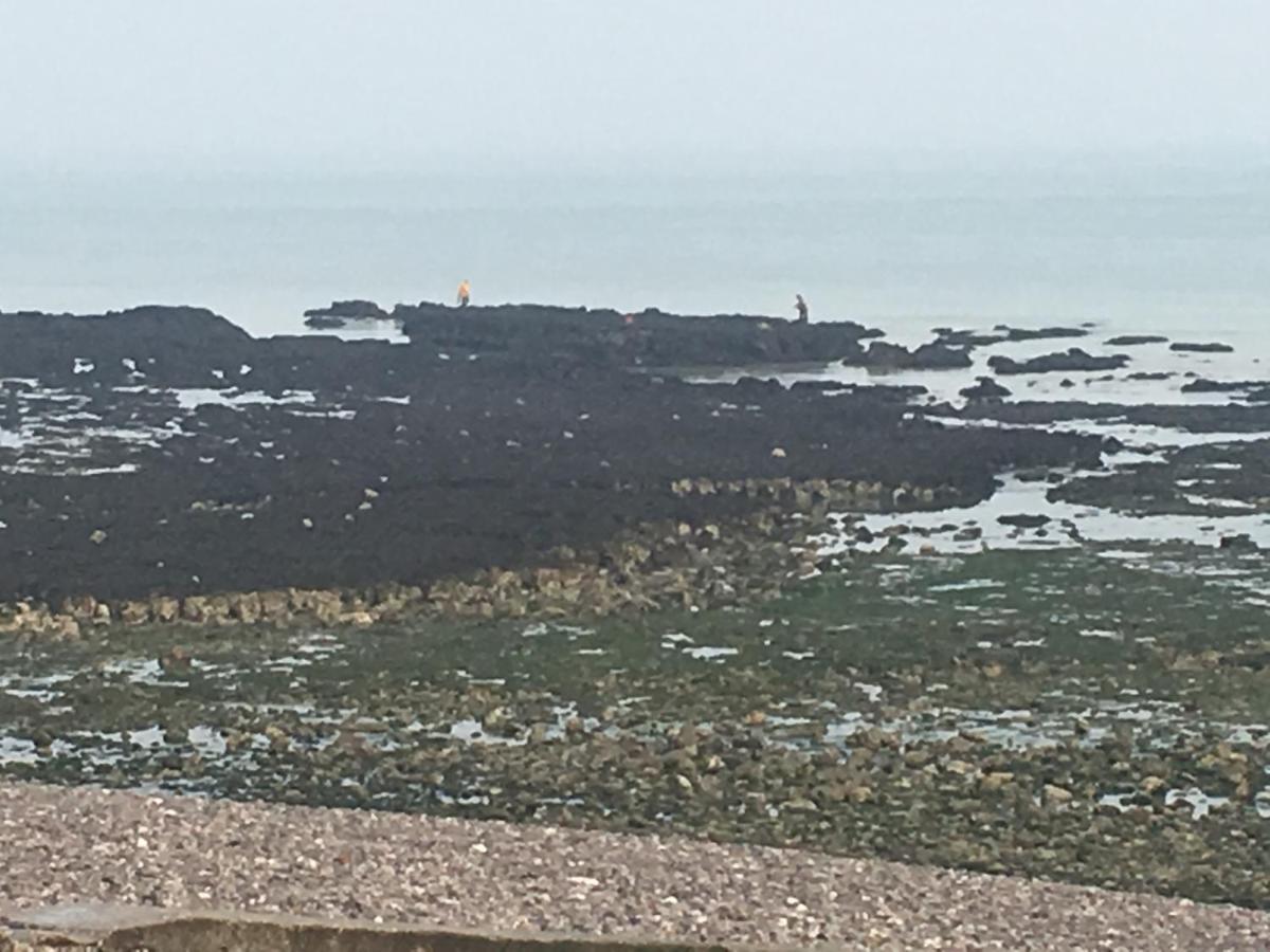 Les Mouettes, A Moins De 50 Metres De La Plage Leilighet Veulettes-sur-Mer Eksteriør bilde